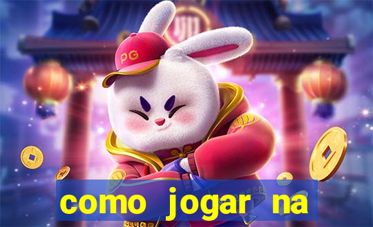 como jogar na seninha online